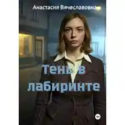 Постер книги Тень в лабиринте