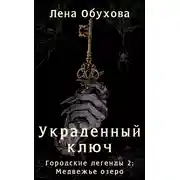 Постер книги Украденный ключ