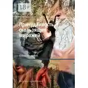 Постер книги Причудливость скользящих миражей. Два детектива под одной обложкой