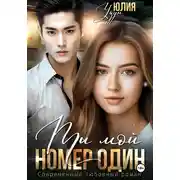 Постер книги Ты мой номер один