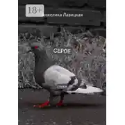 Постер книги Серое. Стихи