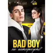 Постер книги Bad boy не интересует?