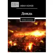 Постер книги Дождь. Первое безумие