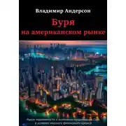 Постер книги Буря на американском рынке
