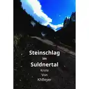 Постер книги Steinschlag im Suldnertal