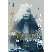 Постер книги Академия волшебства. Элин