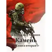 Постер книги Камень. Книга 2