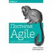 Постер книги Постигая Agile