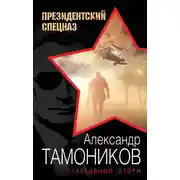 Постер книги Реактивный шторм