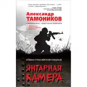 Постер книги Янтарная камера
