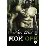 Постер книги Мой орк