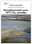 Игорь Москвин - Петербургский сыск. 1873 год, декабрь