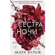 Постер книги Сестра ночи