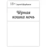 Постер книги Чёрная кошка ночь