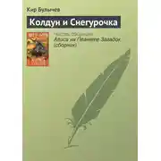 Постер книги Колдун и Снегурочка
