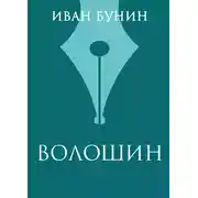 Постер книги Волошин