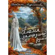 Постер книги Пламя замёрзшей души