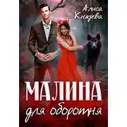 Постер книги Малина для оборотня