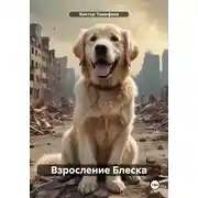 Постер книги Взросление Блеска