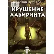 Постер книги Крушение Лабиринта