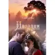 Постер книги Паладин