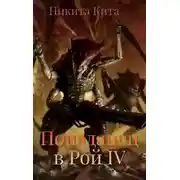 Постер книги Попаданец в Рой Пожирателей Вселенной. Том IV