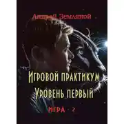 Постер книги Игровой практикум