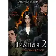 Постер книги Низшая 2. Сбежавшая душа