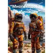 Постер книги Многоходовая комбинация