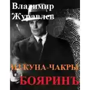 Постер книги Бояринъ из куна-чакры