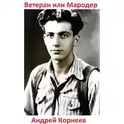 Постер книги Ветеран или Мародер 2