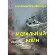 Постер книги Идеальный воин