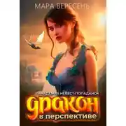Постер книги Академия невест-попаданок и Дракон в перспективе