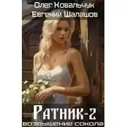 Постер книги Ратник 2