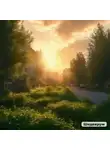 Иван Шевцов - Рыцарь решает чужие проблемы