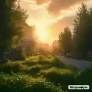 Постер книги Рыцарь решает чужие проблемы