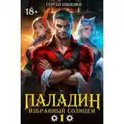 Постер книги Паладин Том -1