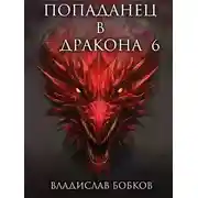 Постер книги Попаданец в Дракона – 6
