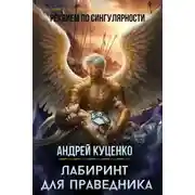 Постер книги Лабиринт для праведника