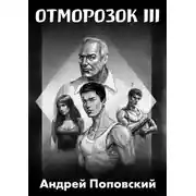 Постер книги Отморозок 3