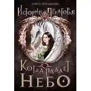 Постер книги Когда падает небо 1.