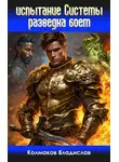 Владислав Колмаков - Испытание Системы. Разведка боем