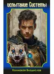 Владислав Колмаков - Испытание системы