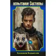 Постер книги Испытание системы