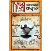 Постер книги Аккордеоновые крылья