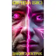 Постер книги Система (бис)