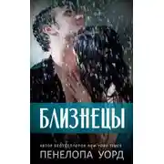 Постер книги Близнецы
