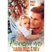 Постер книги Новогоднее чудо. Папа под ёлку