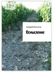 Андрей Козлов - Осмысление