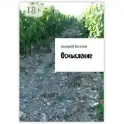 Постер книги Осмысление